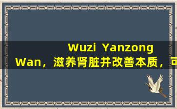 Wuzi  Yanzong  Wan，滋养肾脏并改善本质，可以改善现代疾病中的这些问题